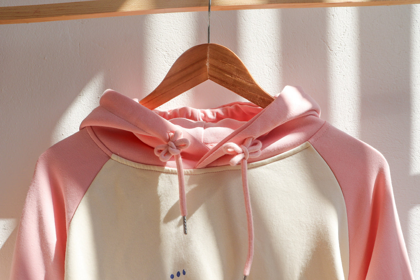 Momoiru Pastel Hoodie